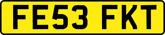 FE53FKT
