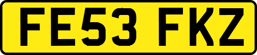 FE53FKZ