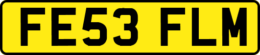 FE53FLM