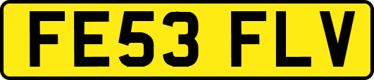FE53FLV