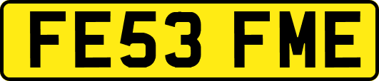 FE53FME
