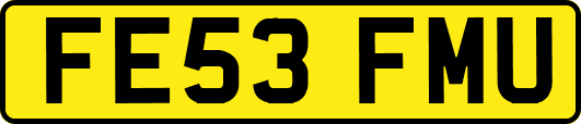 FE53FMU