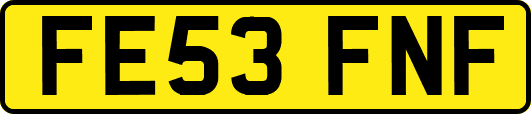 FE53FNF