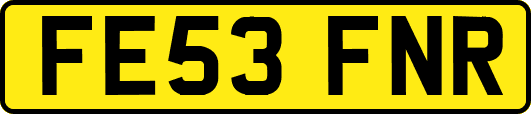 FE53FNR