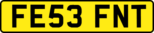 FE53FNT