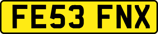 FE53FNX