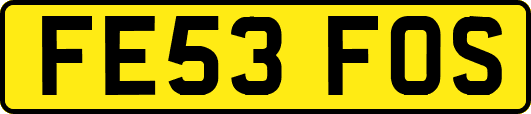 FE53FOS