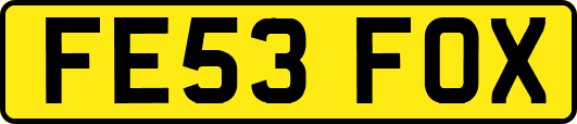 FE53FOX
