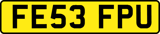 FE53FPU