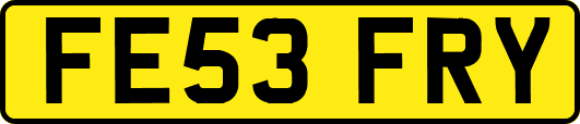 FE53FRY