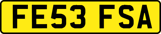 FE53FSA