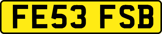 FE53FSB