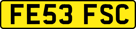 FE53FSC