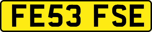 FE53FSE