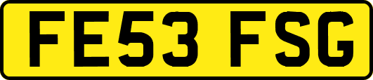 FE53FSG