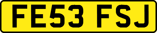 FE53FSJ