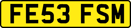 FE53FSM