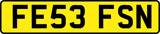 FE53FSN