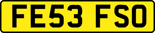 FE53FSO