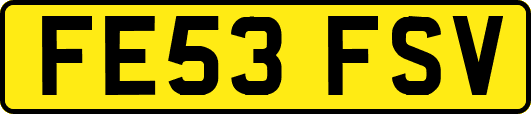 FE53FSV