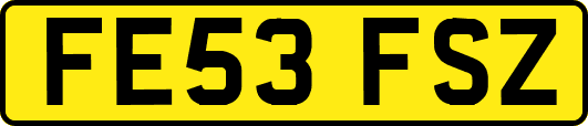 FE53FSZ