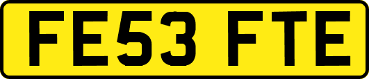 FE53FTE