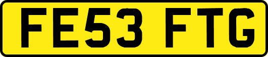 FE53FTG