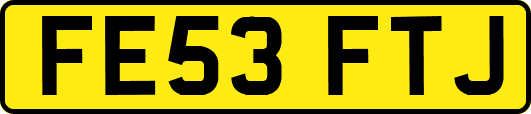 FE53FTJ