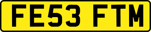 FE53FTM