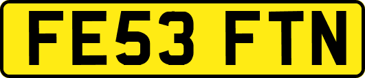 FE53FTN