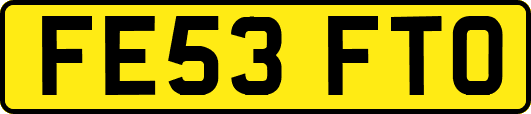 FE53FTO
