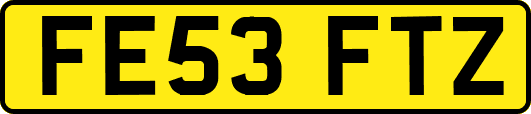 FE53FTZ