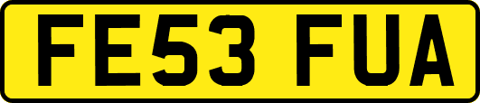 FE53FUA