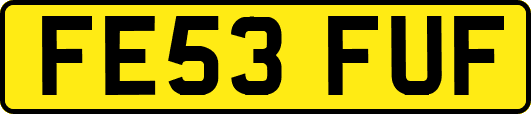 FE53FUF