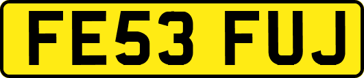 FE53FUJ