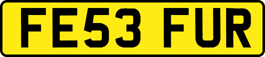 FE53FUR