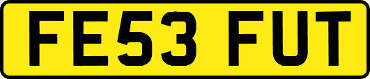 FE53FUT