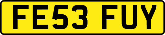 FE53FUY