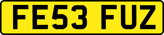 FE53FUZ