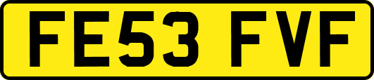 FE53FVF