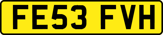FE53FVH
