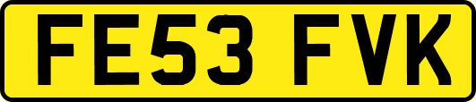 FE53FVK