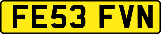 FE53FVN
