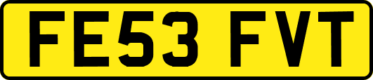 FE53FVT