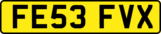 FE53FVX