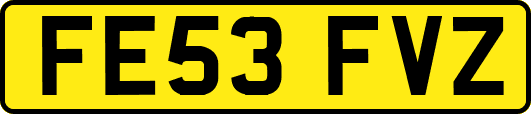 FE53FVZ