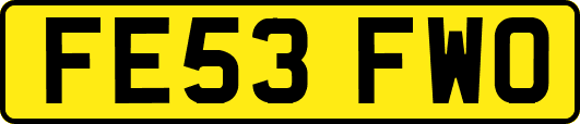 FE53FWO