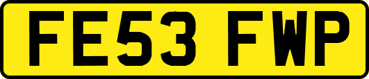 FE53FWP