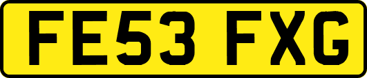 FE53FXG
