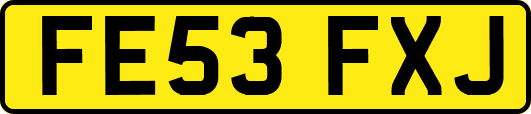 FE53FXJ